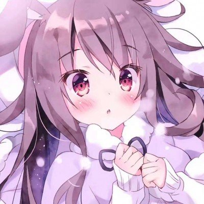 正直播NBA附加赛：热火vs黄蜂